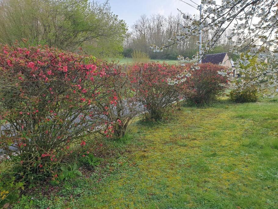 Spatieux, Confort, Reposant, Gd Jardin Bucolique, Jeux, Balades, Zoo, Chateaux Vakantiehuis Saint-Romain-sur-Cher