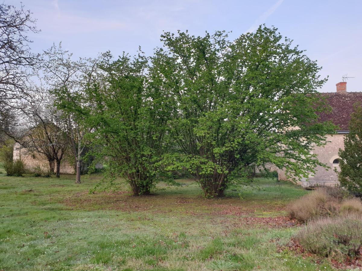 Vakantiehuis Spatieux, Confort, Reposant, Gd Jardin Bucolique, Jeux, Balades, Zoo, Chateaux Saint-Romain-sur-Cher